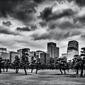 Monochrome Tokyo