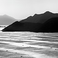 Mudflats Of Xiapu #2